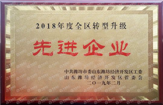 華全集團被評為濰坊2018年度全區轉型升級先進企業