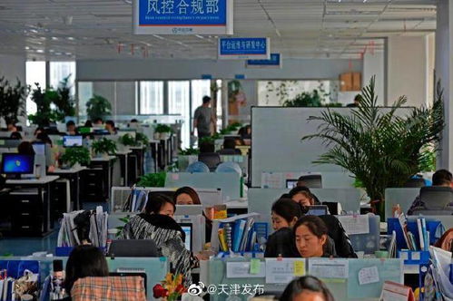 中企云鏈 以創新金融科技服務安心扎根，以信息技術咨詢服務舒心發展