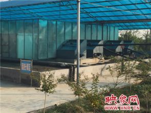 網(wǎng)絡(luò)媒體視角下的牧原集團 養(yǎng)豬硬實力筑牢食品安全防線